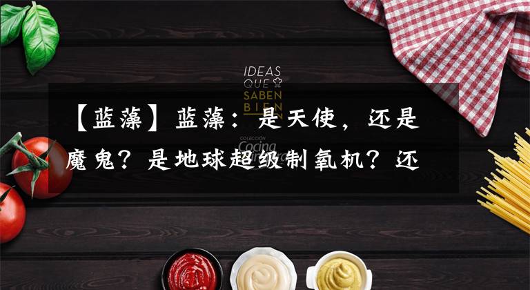 【蓝藻】蓝藻：是天使，还是魔鬼？是地球超级制氧机？还是远古冷血屠夫？