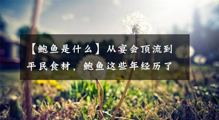 【鲍鱼是什么】从宴会顶流到平民食材,鲍鱼这些年经历了什么?