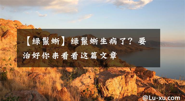 【绿鬣蜥】绿鬣蜥生病了？要治好你来看看这篇文章