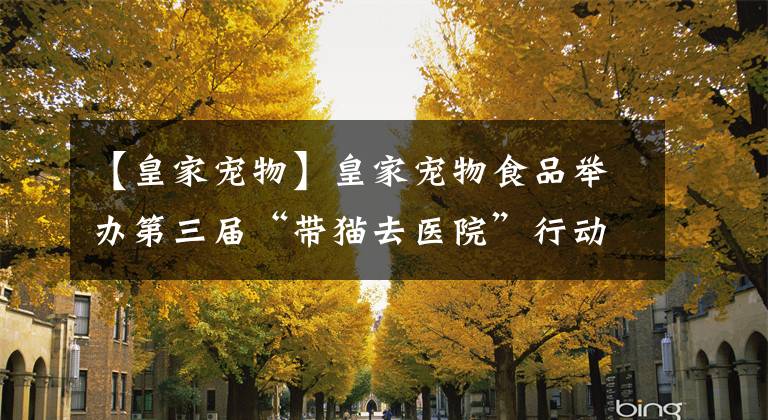【皇家宠物】皇家宠物食品举办第三届“带猫去医院”行动