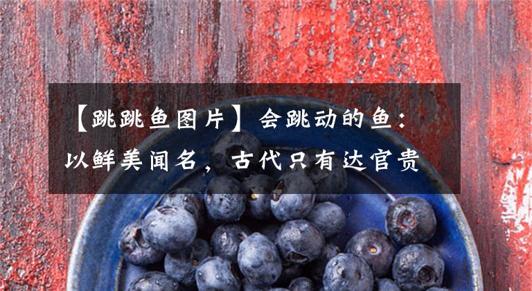 【跳跳鱼图片】会跳动的鱼：以鲜美闻名，古代只有达官贵人吃得起