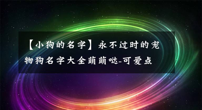 【小狗的名字】永不过时的宠物狗名字大全萌萌哒-可爱点