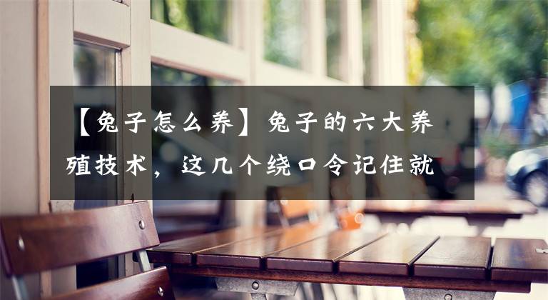 【兔子怎么养】兔子的六大养殖技术，这几个绕口令记住就能用上，快来试吧