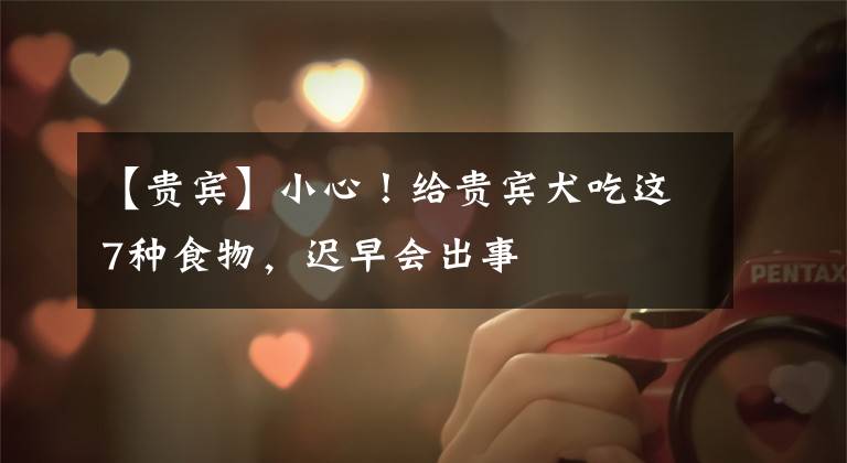 【贵宾】小心!给贵宾犬吃这7种食物,迟早会出事