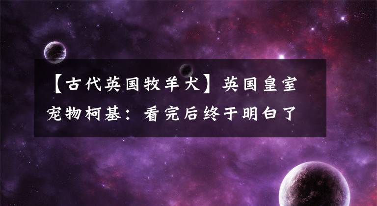 【古代英国牧羊犬】英国皇室宠物柯基：看完后终于明白了英国女王为何独宠柯基