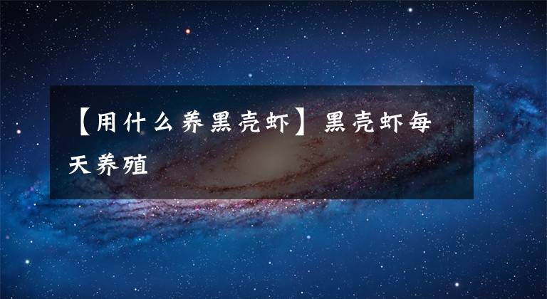 【用什么养黑壳虾】黑壳虾每天养殖