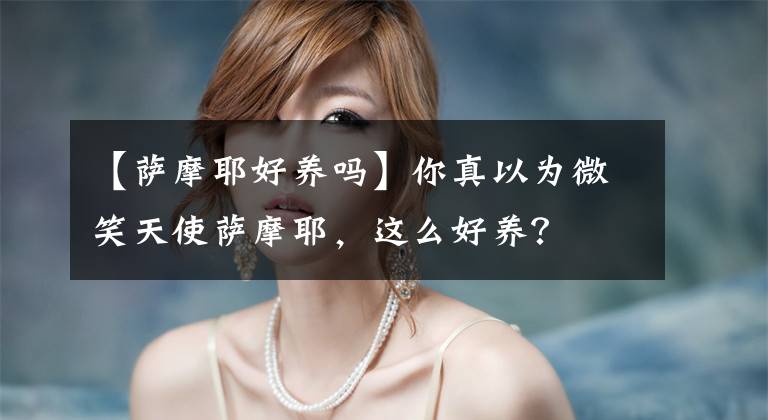 【萨摩耶好养吗】你真以为微笑天使萨摩耶，这么好养？