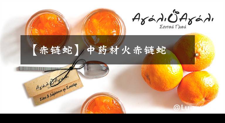 【赤链蛇】中药材火赤链蛇