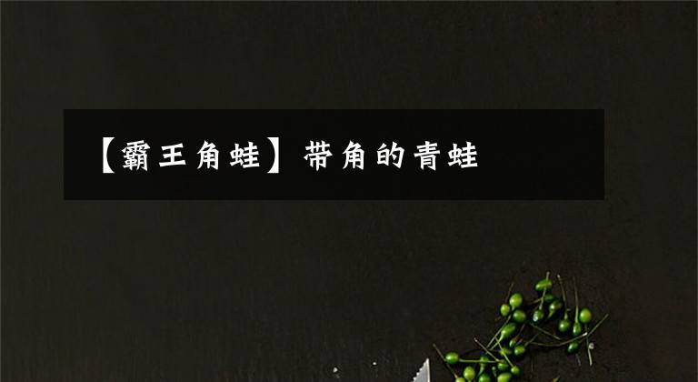 【霸王角蛙】带角的青蛙