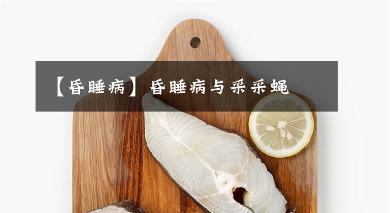 【昏睡病】昏睡病与采采蝇