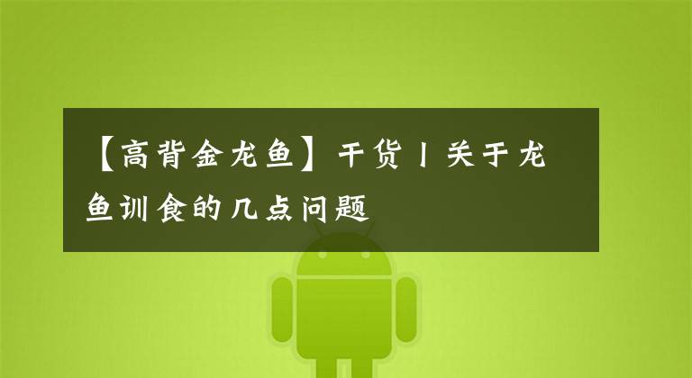 【高背金龙鱼】干货丨关于龙鱼训食的几点问题