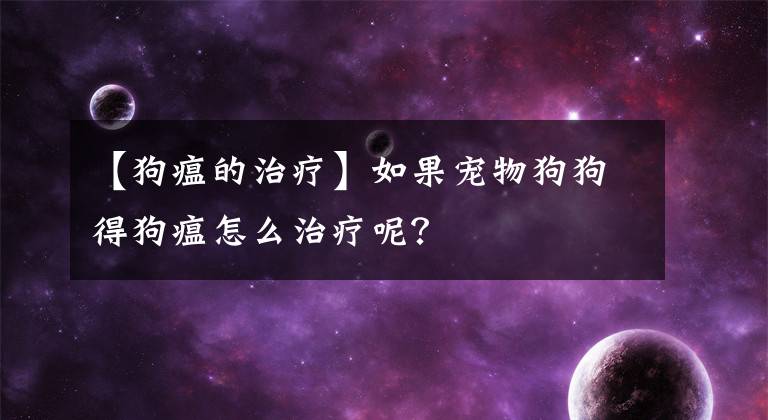 【狗瘟的治疗】如果宠物狗狗得狗瘟怎么治疗呢?