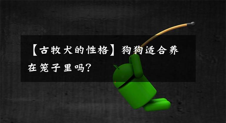 【古牧犬的性格】狗狗适合养在笼子里吗？