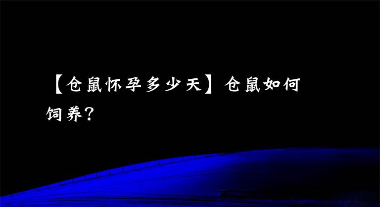 【仓鼠怀孕多少天】仓鼠如何饲养？