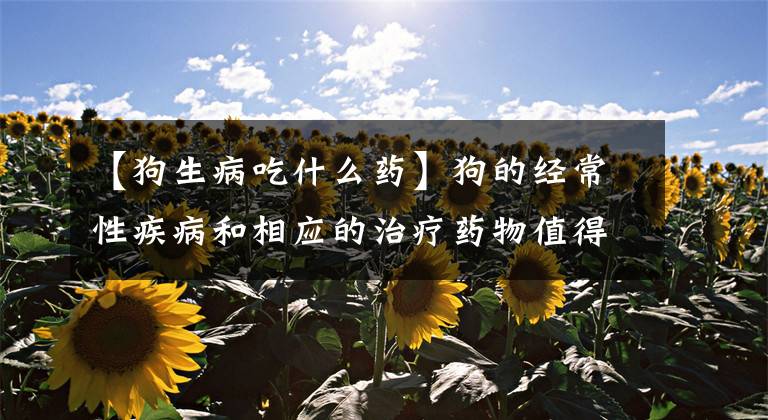 【狗生病吃什么药】狗的经常性疾病和相应的治疗药物值得收藏。