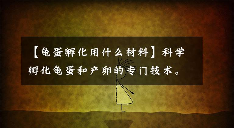 【龟蛋孵化用什么材料】科学孵化龟蛋和产卵的专门技术。