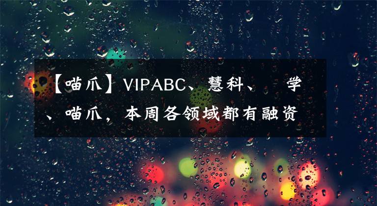 【喵爪】VIPABC、慧科、乂学、喵爪,本周各领域都有融资案,温暖过冬