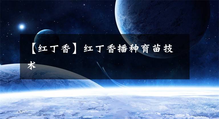 【红丁香】红丁香播种育苗技术