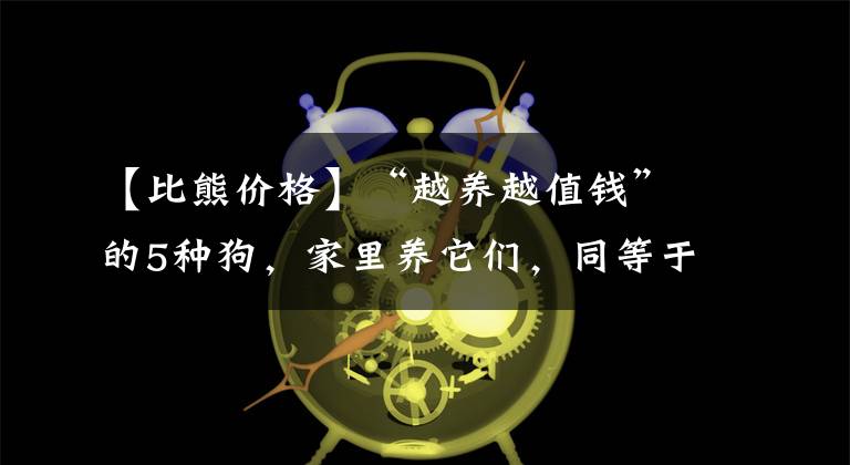 【比熊价格】“越养越值钱”的5种狗，家里养它们，同等于投资