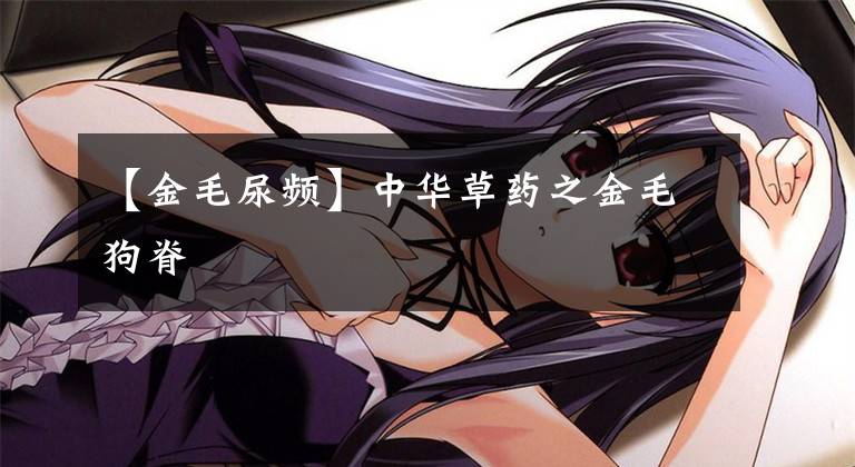 【金毛尿频】中华草药之金毛狗脊