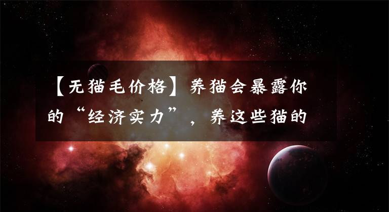 【无猫毛价格】养猫会暴露你的“经济实力”，养这些猫的人，都是有钱人