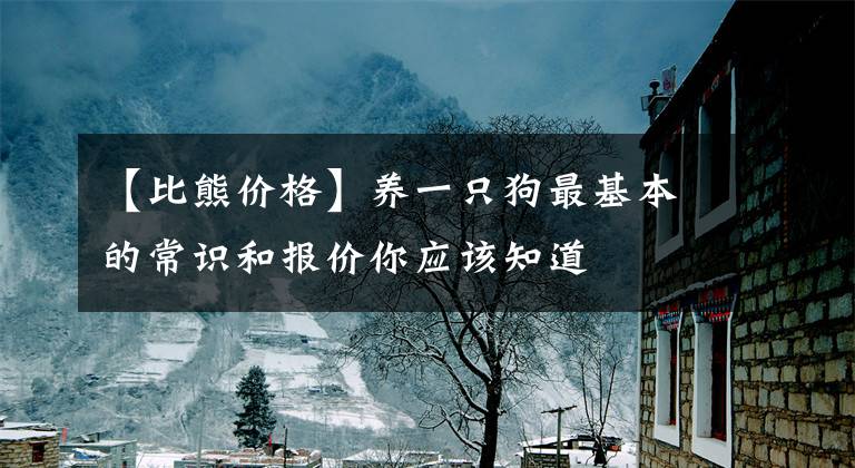【比熊价格】养一只狗最基本的常识和报价你应该知道