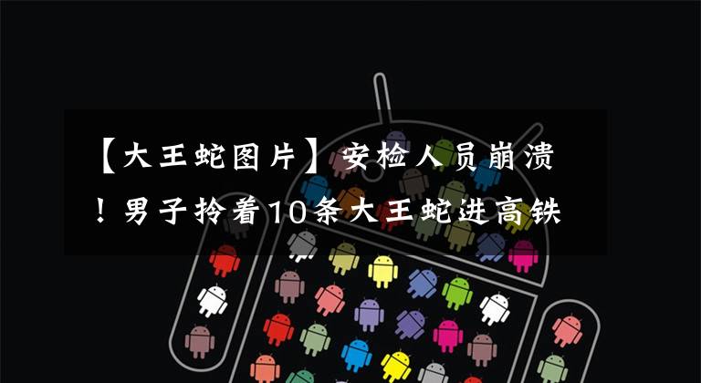 【大王蛇图片】安检人员崩溃！男子拎着10条大王蛇进高铁站要坐高铁....