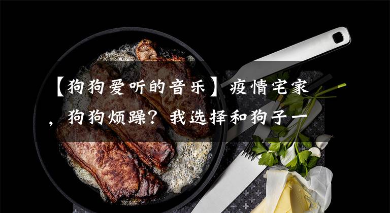 【狗狗爱听的音乐】疫情宅家，狗狗烦躁？我选择和狗子一起摇摆