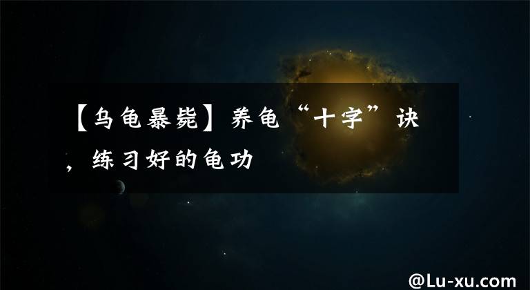 【乌龟暴毙】养龟“十字”诀，练习好的龟功