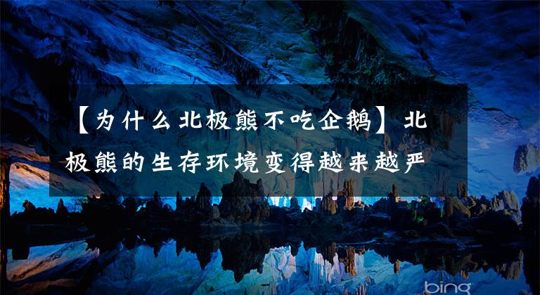 【为什么北极熊不吃企鹅】北极熊的生存环境变得越来越严峻，若送到南极的话，可以生存吗？