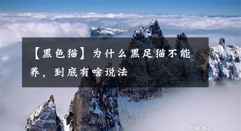 【黑色猫】为什么黑足猫不能养,到底有啥说法