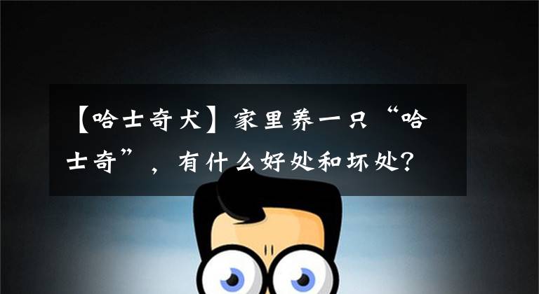 【哈士奇犬】家里养一只“哈士奇”，有什么好处和坏处？