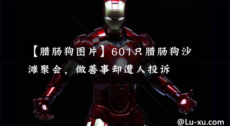 【腊肠狗图片】601只腊肠狗沙滩聚会，做善事却遭人投诉