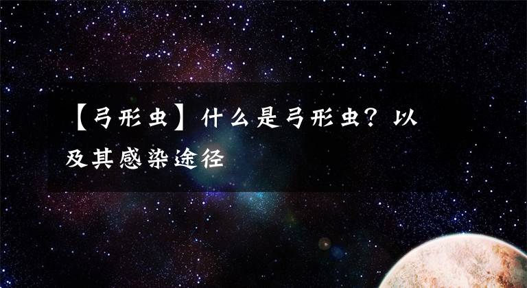 【弓形虫】什么是弓形虫？以及其感染途径