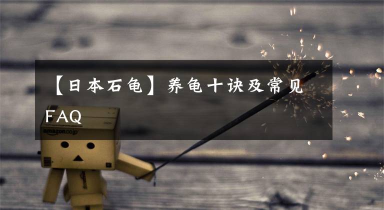 【日本石龟】养龟十诀及常见FAQ