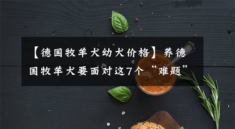 【德国牧羊犬幼犬价格】养德国牧羊犬要面对这7个“难题”，看完你还敢养吗？