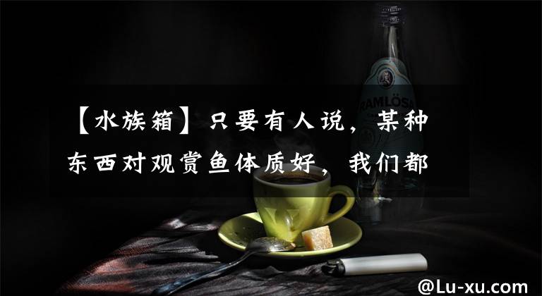 【水族箱】只要有人说,某种东西对观赏鱼体质好,我们都要在鱼缸里试试呢?