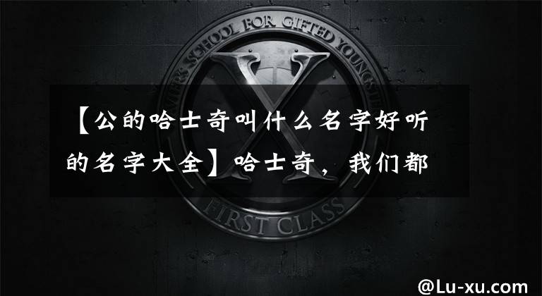 【公的哈士奇叫什么名字好听的名字大全】哈士奇，我们都叫它“以下”，其实它有一个很好听的名字！