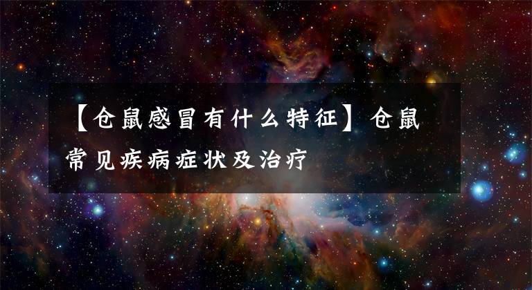 【仓鼠感冒有什么特征】仓鼠常见疾病症状及治疗