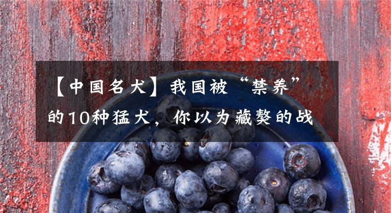 【中国名犬】我国被“禁养”的10种猛犬,你以为藏獒的战斗力真的很弱吗?