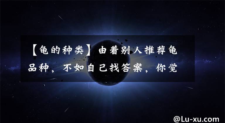 【龟的种类】由着别人推荐龟品种,不如自己找答案,你觉得呢?