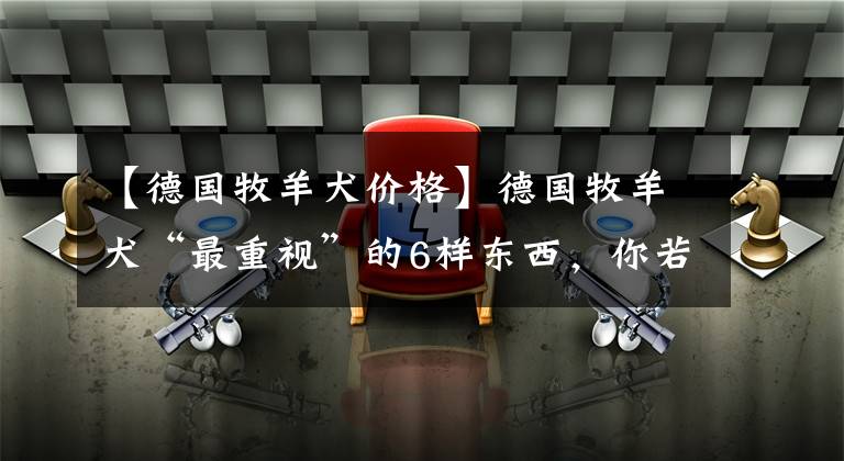 【德国牧羊犬价格】德国牧羊犬“最重视”的6样东西，你若给足，它会为你卖命