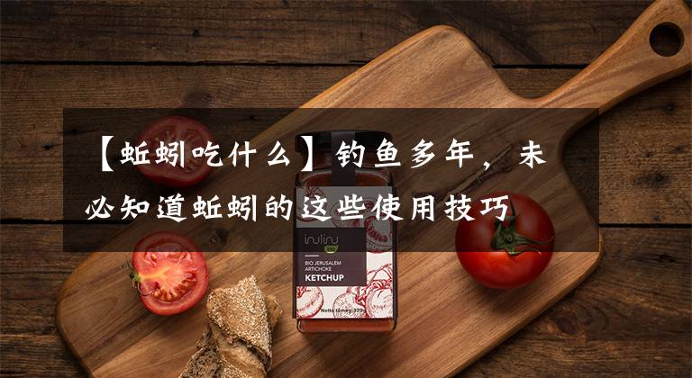 【蚯蚓吃什么】钓鱼多年，未必知道蚯蚓的这些使用技巧