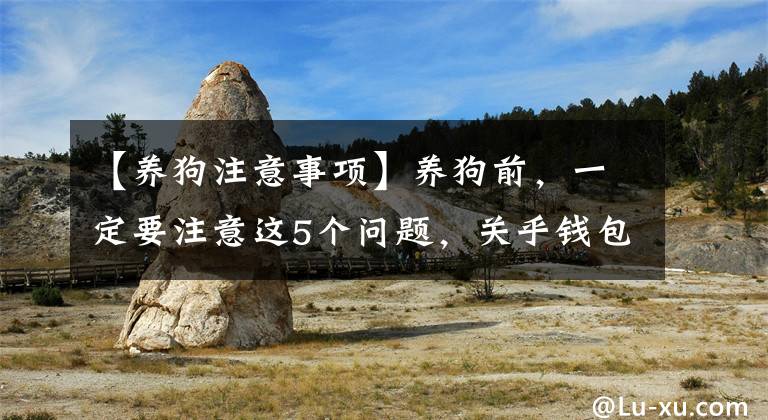 【养狗注意事项】养狗前，一定要注意这5个问题，关乎钱包