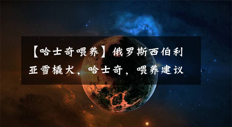 【哈士奇喂养】俄罗斯西伯利亚雪橇犬，哈士奇，喂养建议