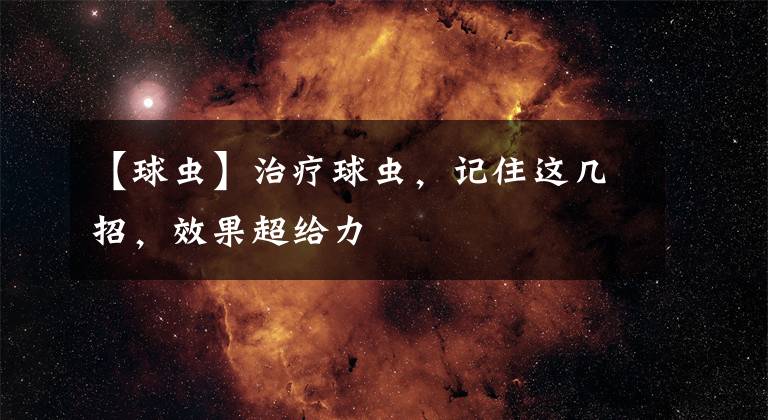 【球虫】治疗球虫，记住这几招，效果超给力