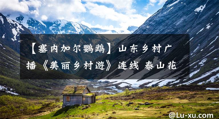 【塞内加尔鹦鹉】山东乡村广播《美丽乡村游》连线 泰山花样年华景区