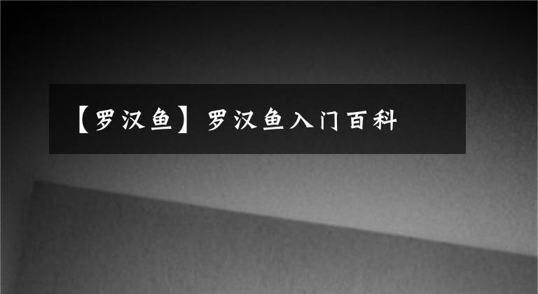 【罗汉鱼】罗汉鱼入门百科
