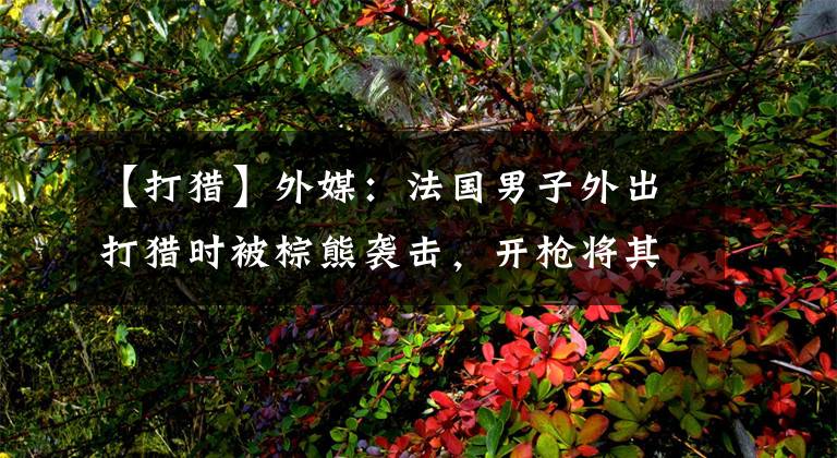 【打猎】外媒：法国男子外出打猎时被棕熊袭击，开枪将其打死