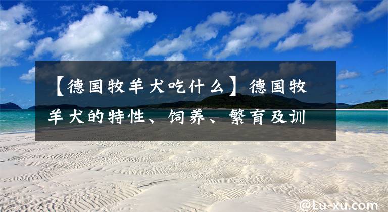 【德国牧羊犬吃什么】德国牧羊犬的特性、饲养、繁育及训练详解